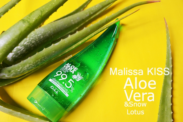 Алоэ арбуэ картинка