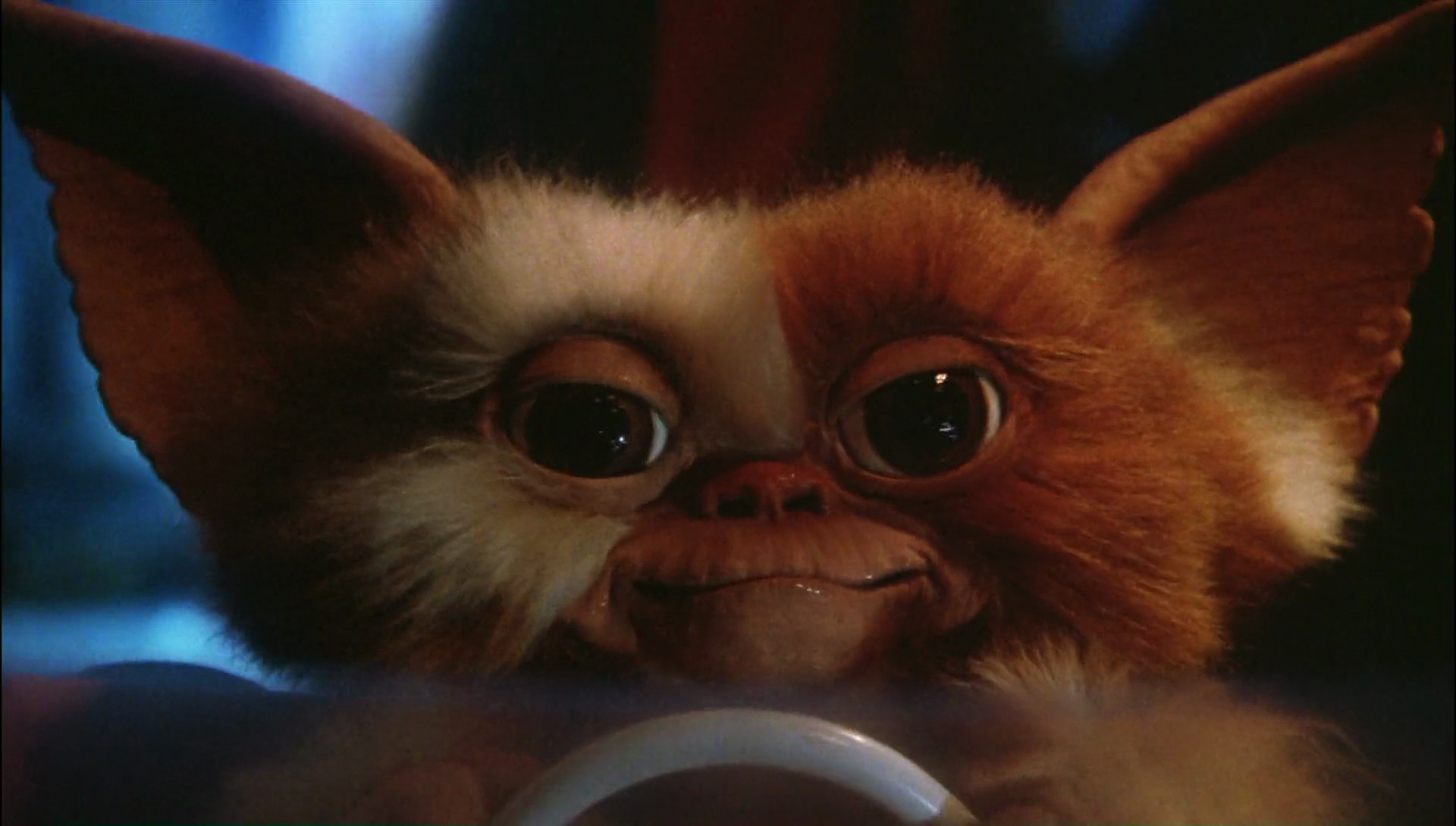 Гремлины фото из фильма картинки